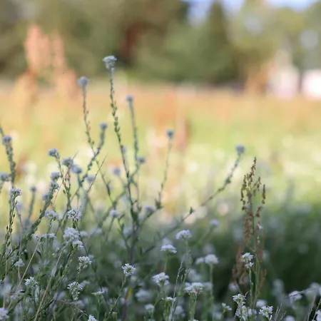 Idyllic Hideaway In The Countryside Dom wakacyjny