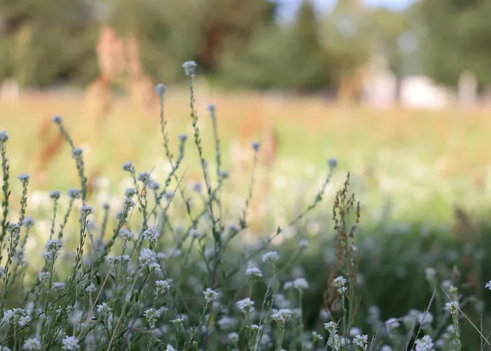 Idyllic Hideaway In The Countryside بيت للعطل
